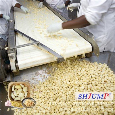 Γραμμή Επεξεργασίας Σκόρδου